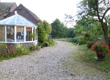 susan thorne acupuncture guildford